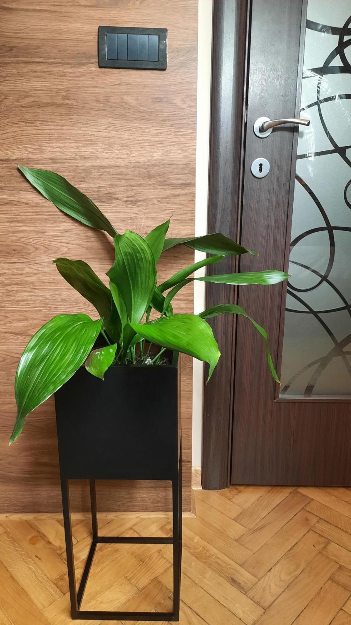 Apartman D Lux Jacuzzi Kragujevac Exterior foto